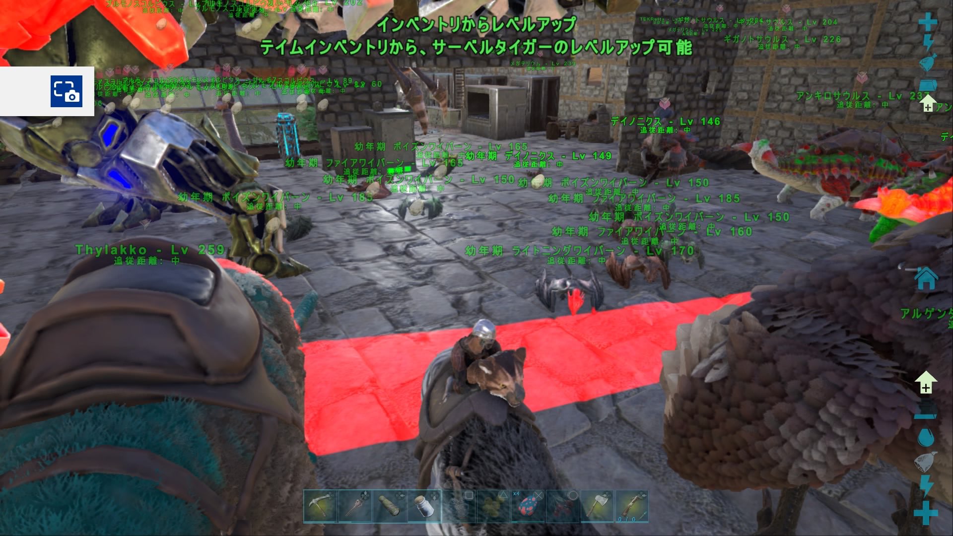 ビアンカ ゲーム写真家 ワイバーンブリーディング記録 ミルクを1度も与えず ダエオドンの回復を用いて 餓死を防いで育てる方法 食料0の後 体力が10分で252減少 注意 ログアウトすると252よりも多く減少する ブリーディング倍率3倍時 成体になっ