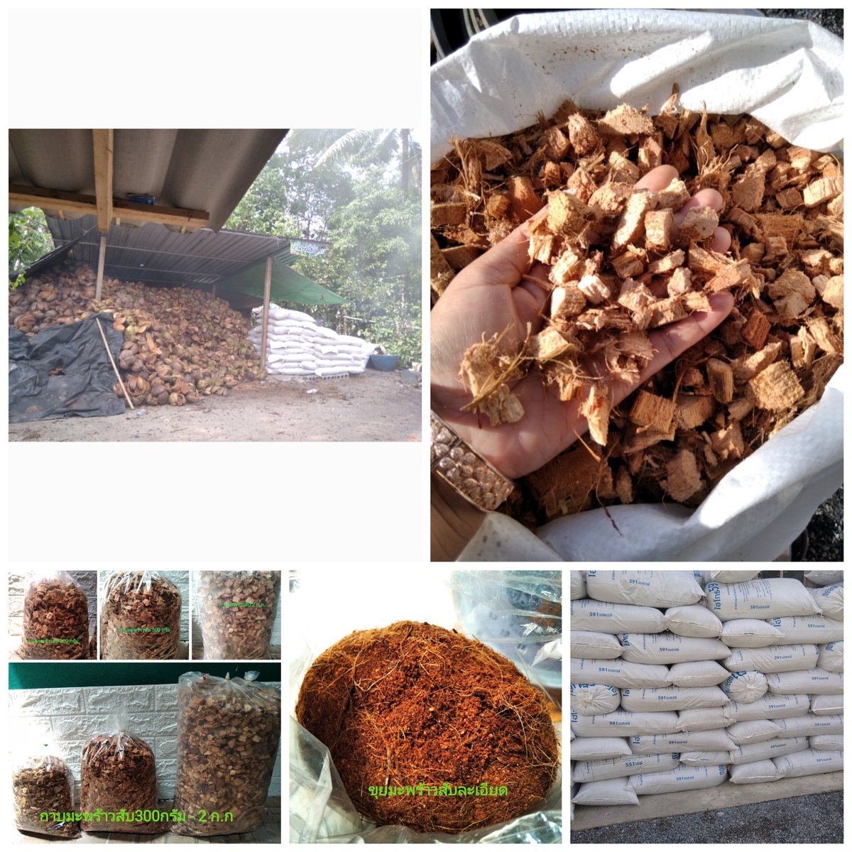 coconutshell3's tweet image. สวัสดีค่ะ
มะพร้าวสับทุ่งกว้าง  . .ยินดีต้อนรับค่ะ🙏🙏🙏🙏🙏🙏🙏🙏🙏🙏🙏🙏
ทางร้านเราเป็นผู้ผลิต กาบมะพร้าวสับเองนะคะ...กาบมะพร้าวสับมีหลายขนาดบรรจุให้เลือกสั่งค่ะ...มีทั้งแบบกระสอบและแบบบรรจุถุงแบ่งขายค่ะ...
และทางร้านเรามีขุยมะพร้าวจำหน่ายด้วยเช่นกันค่ะ ..สนใจสินค้าทักแชทคะ