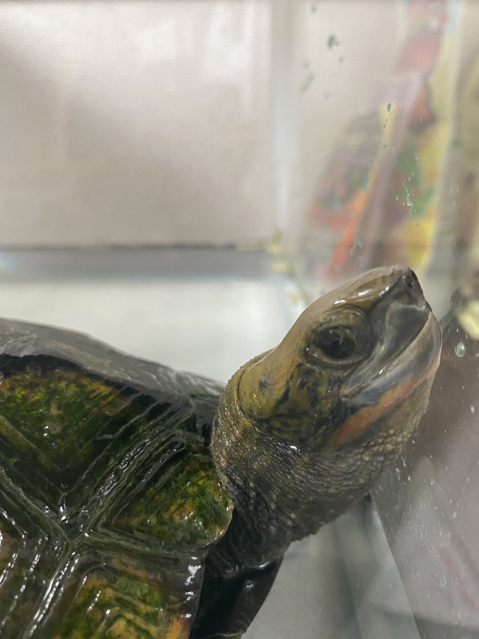 See Kamehiroi0613 S Tweet On Jun 14 Twitter