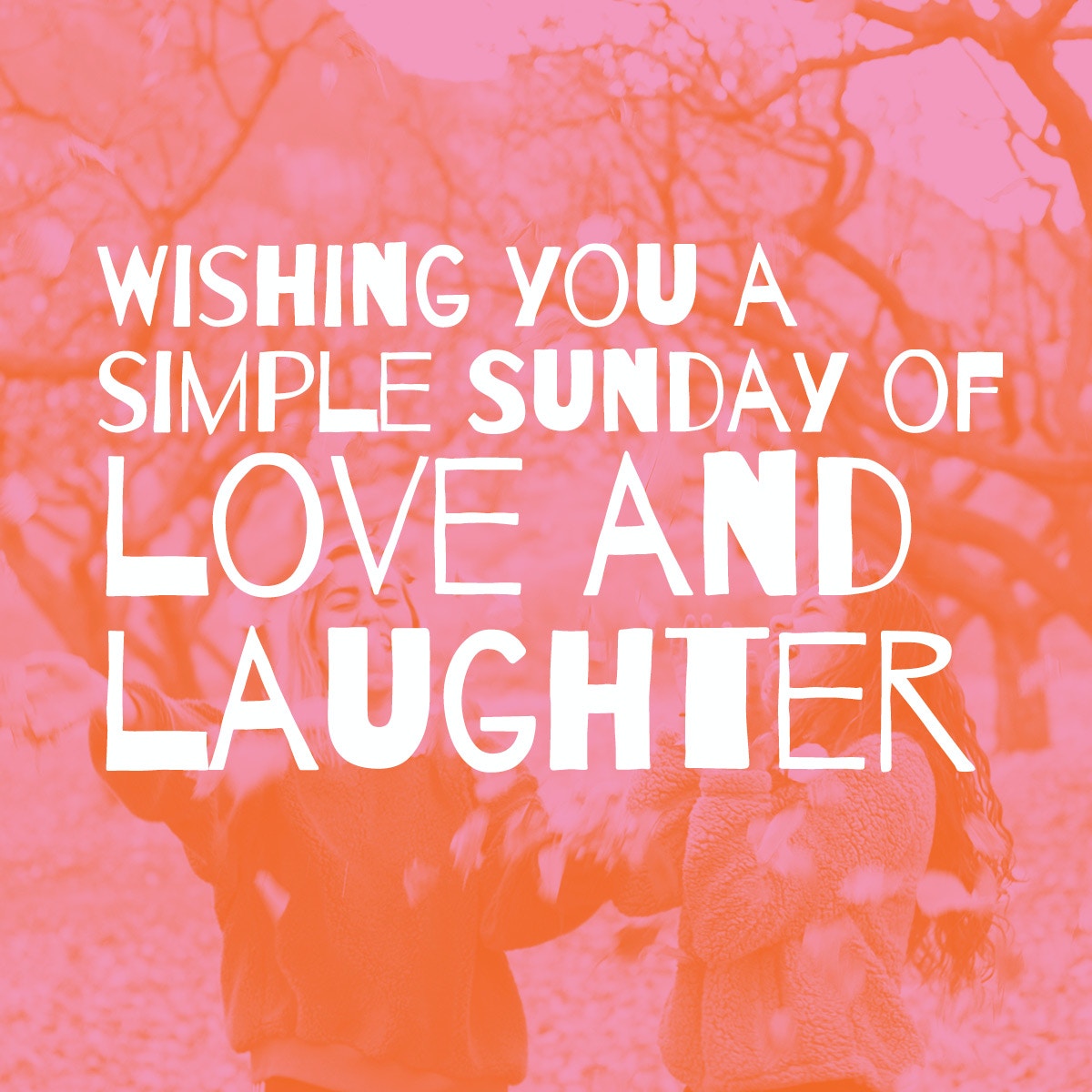 cindy3511's tweet photo. Have a great Sunday! Hope its filled with joy, laughter and sunshine 🌞 https://t.co/e3cFNrafuw