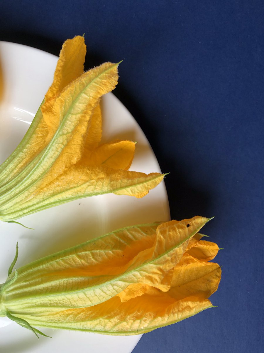 kerryfoodtours's tweet photo. Donβt mind the calories! Hapoy Sunday! #mygarden #italiantraditions #courgetteflower https://t.co/vLUyjmPiq6