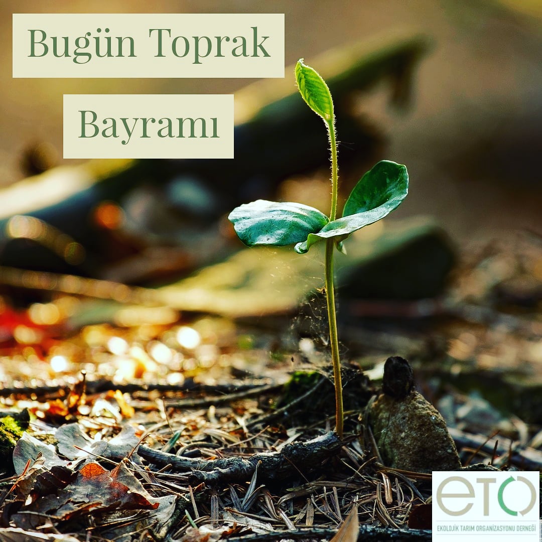 etodernek's tweet photo. #organiktarım toprağı korur!

#toprakbayramı #etodernek https://t.co/xxtdonNKy6