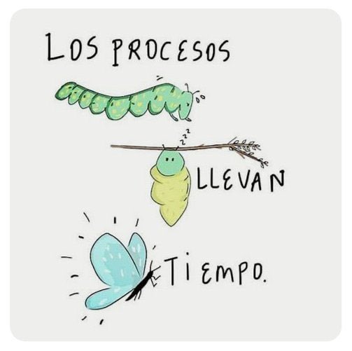 iPrincipito's tweet photo. Dale tiempo al tiempo... https://t.co/Okjf9YMr7e