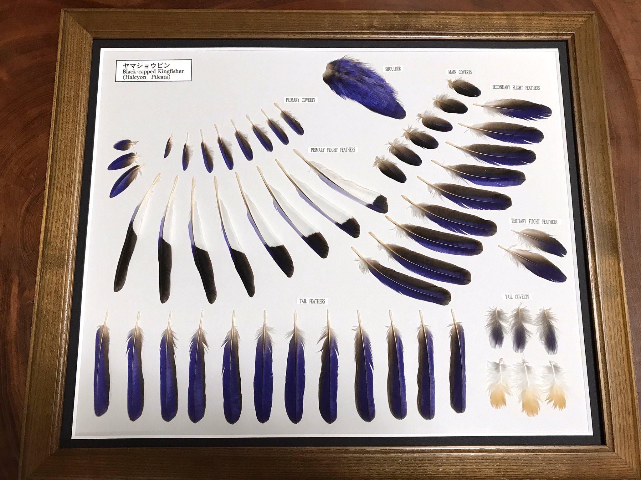 やますけ on Twitter: 