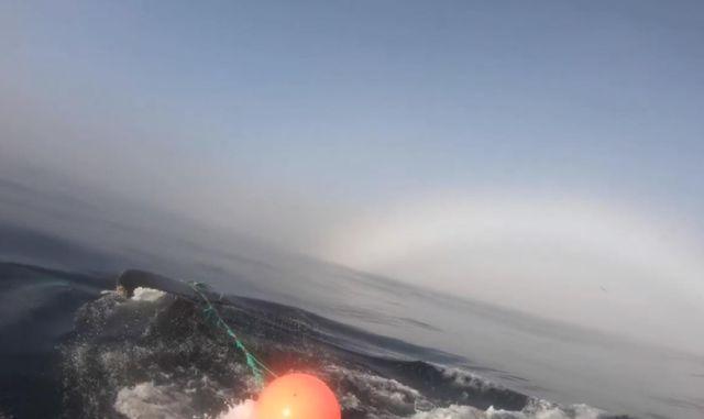 Landhelgisgæslan hafði samband við björgunarsveitina Geisla og bað hana um að fara um 50 sjómílur austur af Fáskrúðsfirði í nótt og reyna að losa veiðarfæri af hnúfubak. mbl.is/200milur/frett…