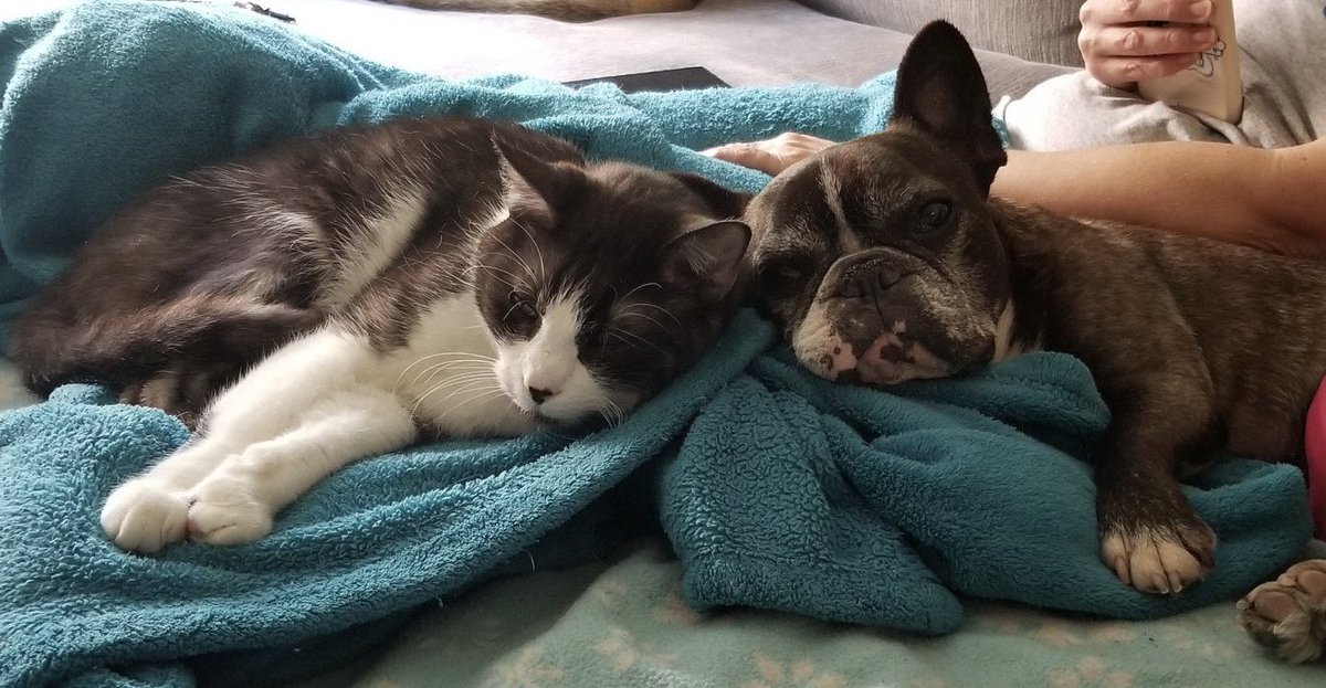 Getting soft in my old age and tolerating Linus