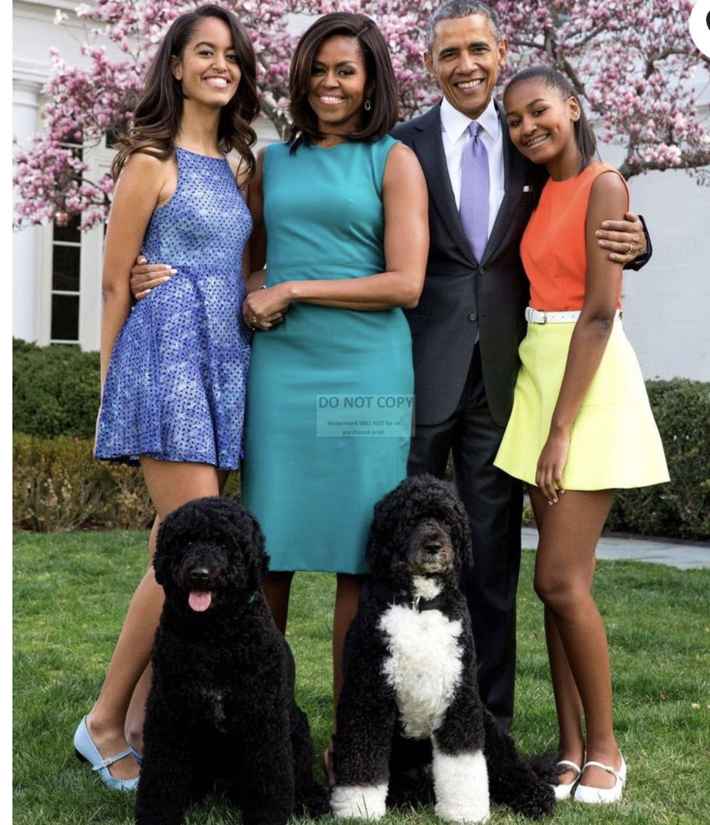 Nicholas Porter tweet media