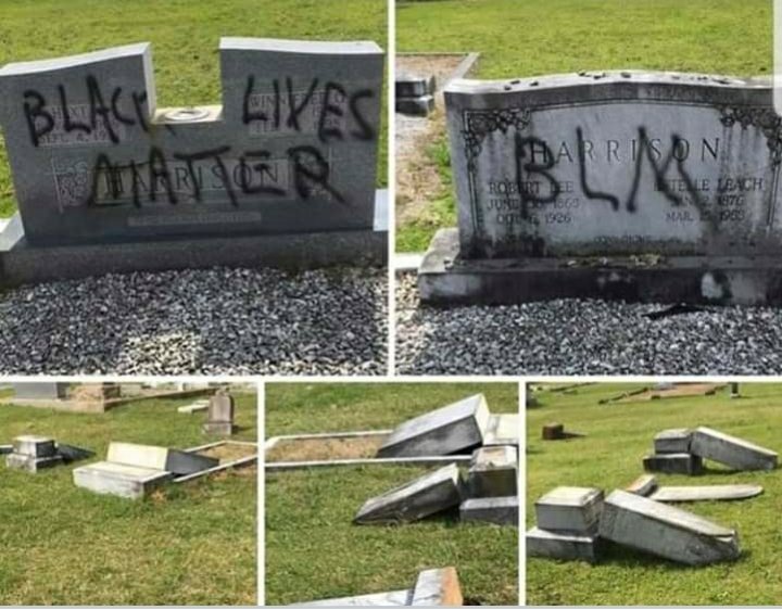 dyro874's tweet photo. REALLY "BLACK LIVES MATTER?"
YOU DO THIS AND EXPECT US TO TAKE YOU SERIOUSLY?
YOU KILL EACH OTHER AT AN ALARMING RATE AND EXPECT US TO TAKE YOU SERIOUSLY?
YOU BURN DOWN BUSINESSES IN BLACK NEIGHBORHOODS AND EXPECT US TO TAKE YOU SERIOUSLY?
ALL YOU DO IS DEATH AND DESTRUCTION! 🖕 https://t.co/kmdQ8Flzc8