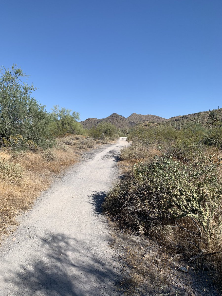 ghostbirdtravel's tweet photo. Thank you @maricopacounty for your beautiful parks! I love these places so much. #trailexplorer https://t.co/EpqzjUIkIH