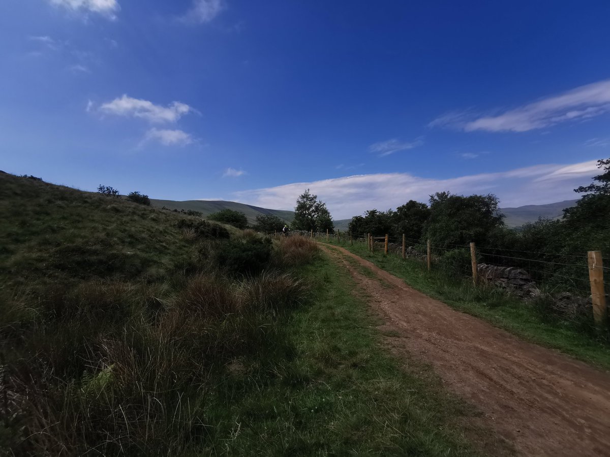 Dale B Teal tweet media