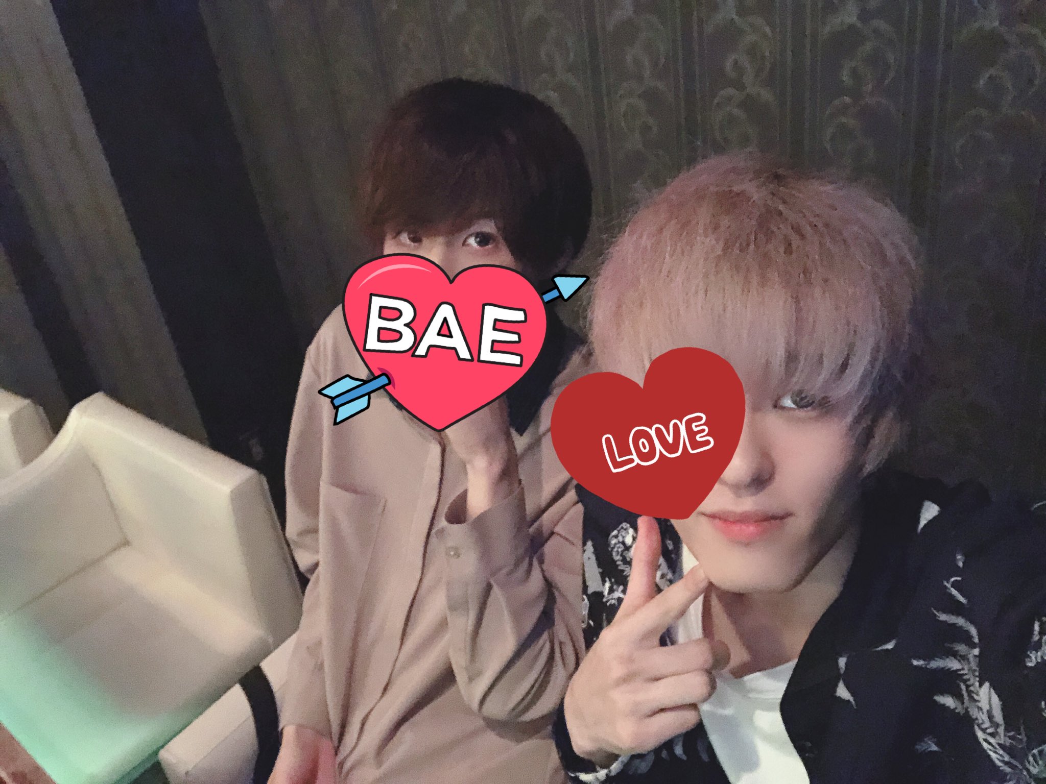 ねこくん！ on X:  