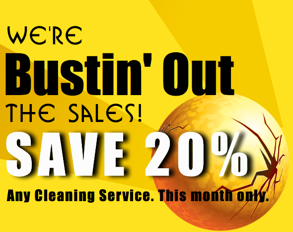 SimpSolPlus's tweet image. 20% off Any Services.  simpsolplus.com

#CarpetCleaning #SteamCleaning #UpholsteryCleaning