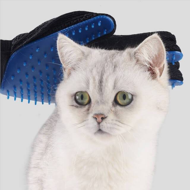 mc_pinty's tweet image. Are You Having Problems with Lots of Fur Around the House from your Pet. Check out this UPGRADED New version of the pet grooming glove. 
BUY ONE TODAY at 50% OFF
amzn.to/2GzH7zJ

#nothingisordinary #properpup #morningslikethese #thehappynow