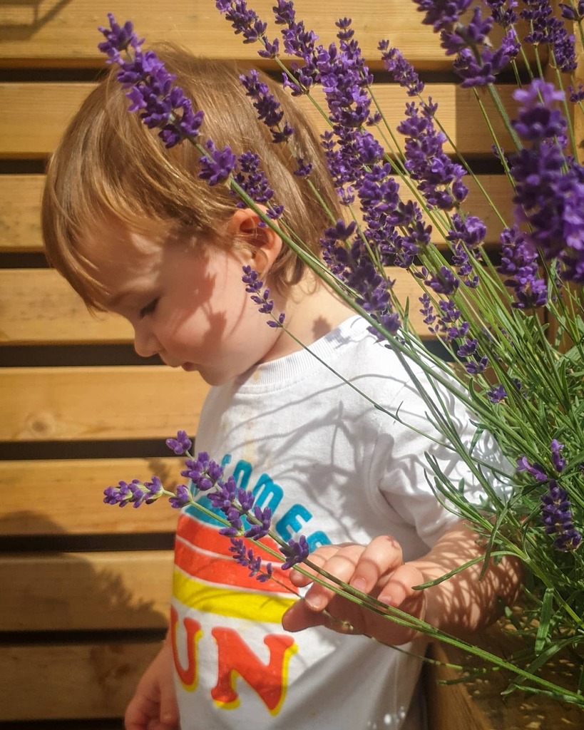jmgolfcoaching's tweet photo. The Sun Trap.... #sunday #Garden #sunny #flowers #lavender #portrait #noahandtheworld #shadow https://t.co/ln1IioL1LK https://t.co/xo3hONUBti