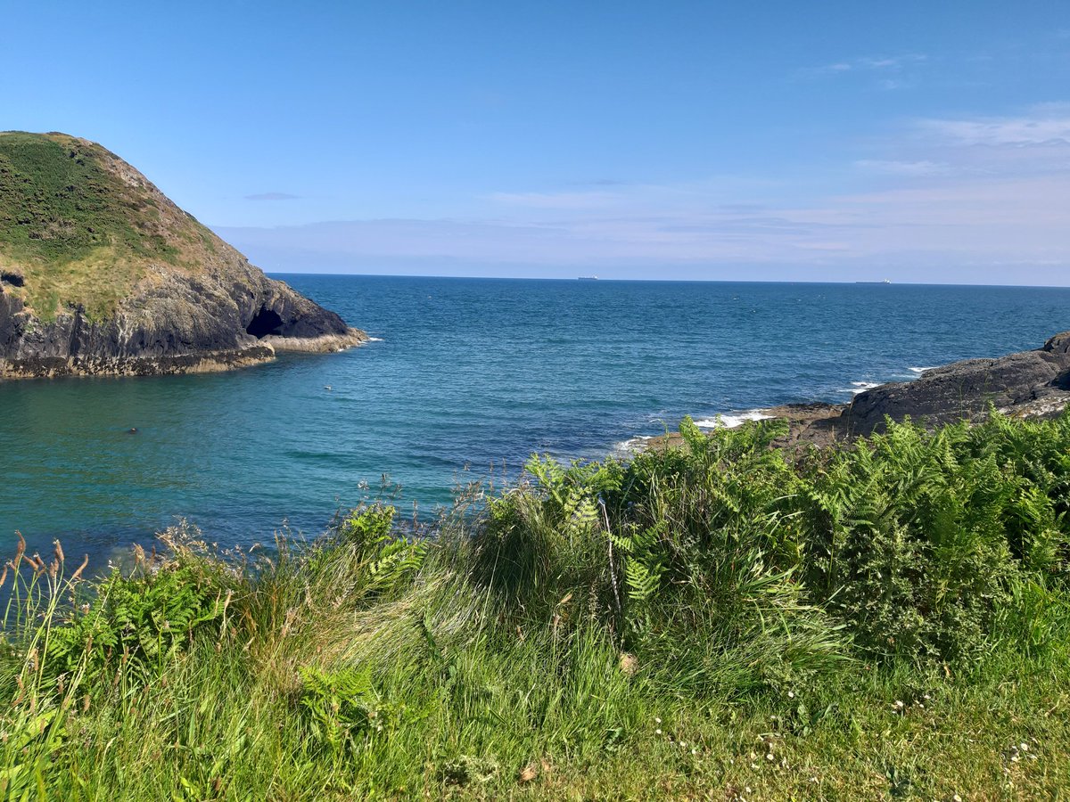 mark42turner's tweet photo. Robert's Cove. What a glorious place to be today😎 https://t.co/P2sSbQozq7