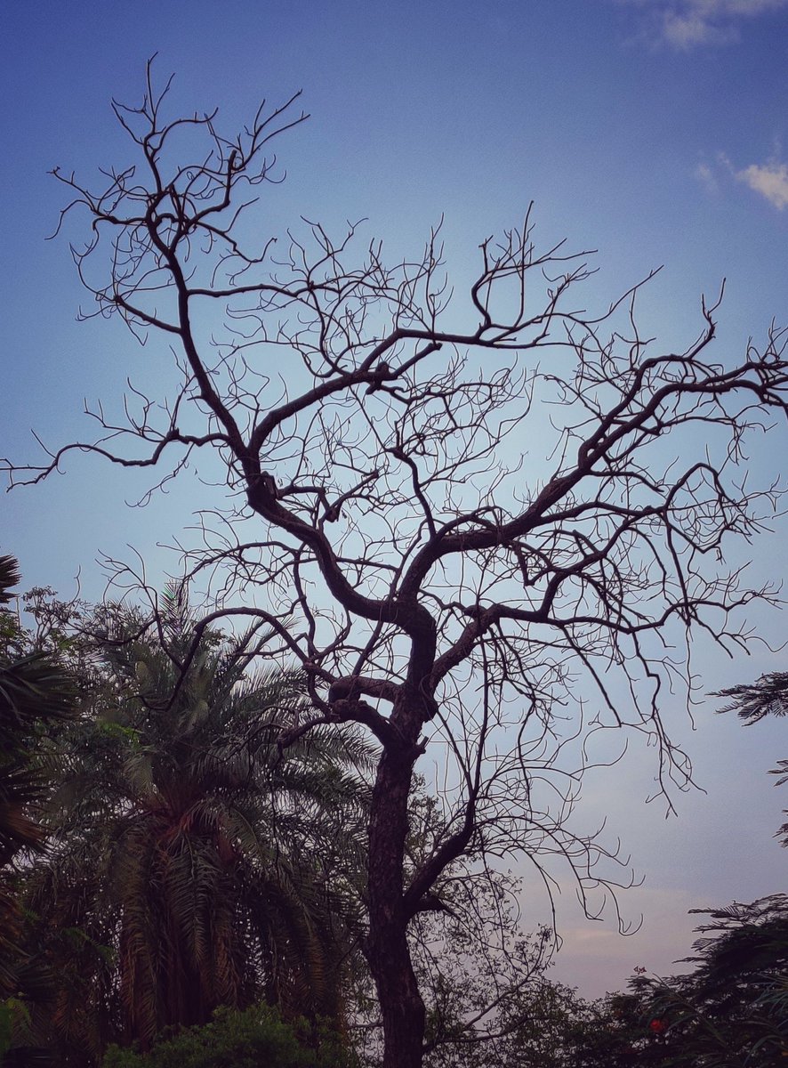 artizzzz's tweet photo. I have sometimes been wildly, despairingly, acutely miserable,
but through it all I still know quite certainly that just to be alive
is a grand thing.
Agatha Christie
#RandomPhotography
#MusingsOnASundayEvening
#LinesAndPatterns https://t.co/5DnPFoYbVd