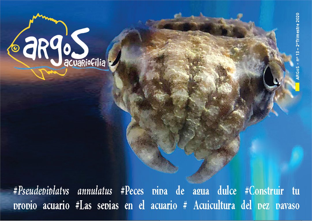 AquaticNotes's tweet image. Disponible ARGoS 13: reproducción de Pseudoepiplatys annulatus, peces pipa de agua dulce, construye tu acuario arrecifal, sepias en el acuario, acuicultura de Amphiprion. ¡No os lo perdáis! Podéis leerlo en Aquatic Notes
aquaticnotes.com/2016/es/2020/0…