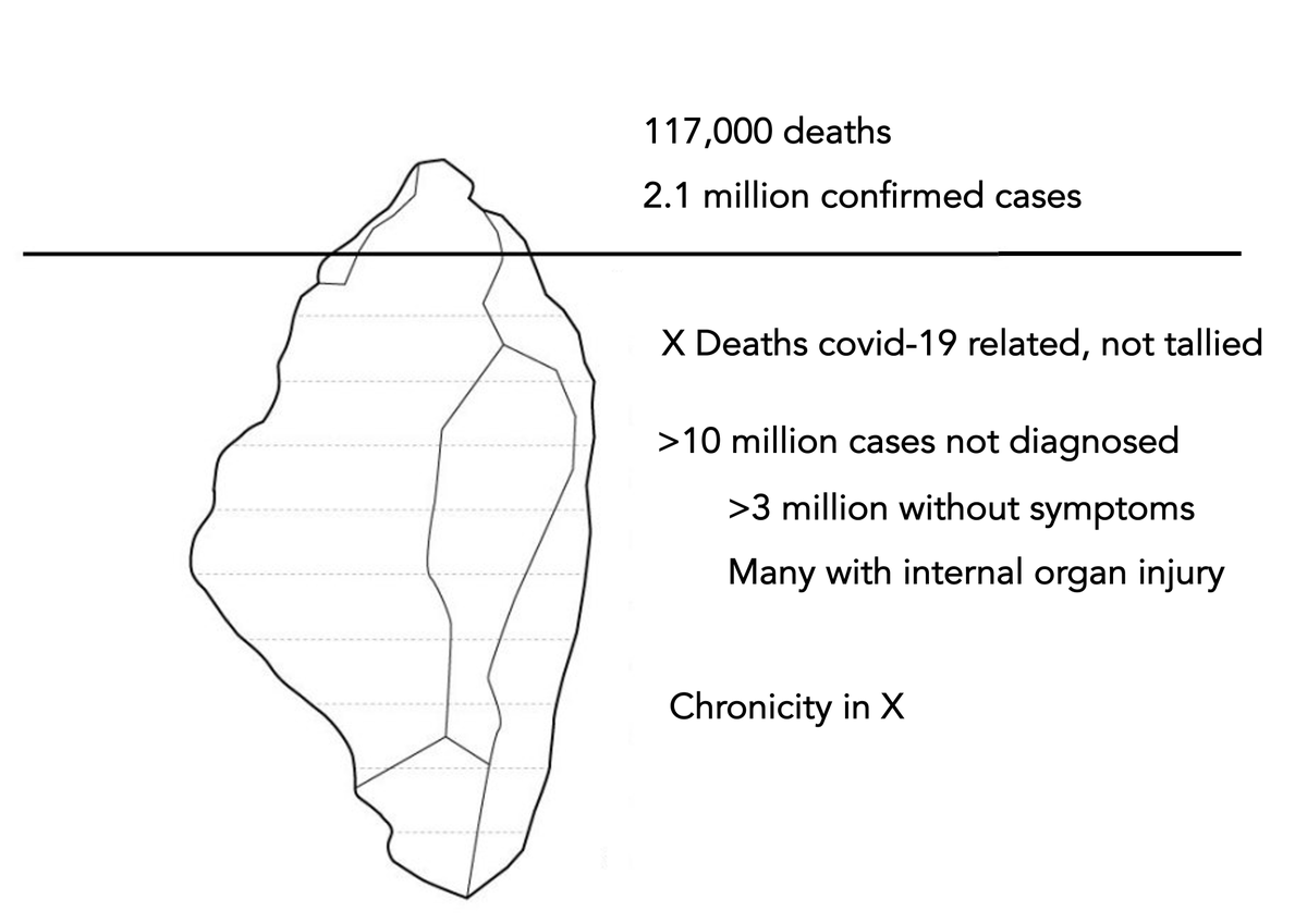 What we've been missing, below the surface, about  #COVID19. The focus has been on confirmed cases, hospitalizations and deaths. But there's so much more we've been learning. United States data here