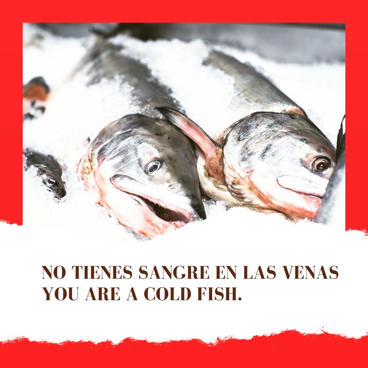 myfirstclass1's tweet photo. 🇪🇸NO TIENES SANGRE EN LAS VENAS➡️🇬🇧 YOU ARE A COLD FISH. 
Eso no se podría decir de los donantes de sangre.
#DiaMundialDelDonanteDeSangre
#ingles #14Junio https://t.co/UV2uF3tN4w