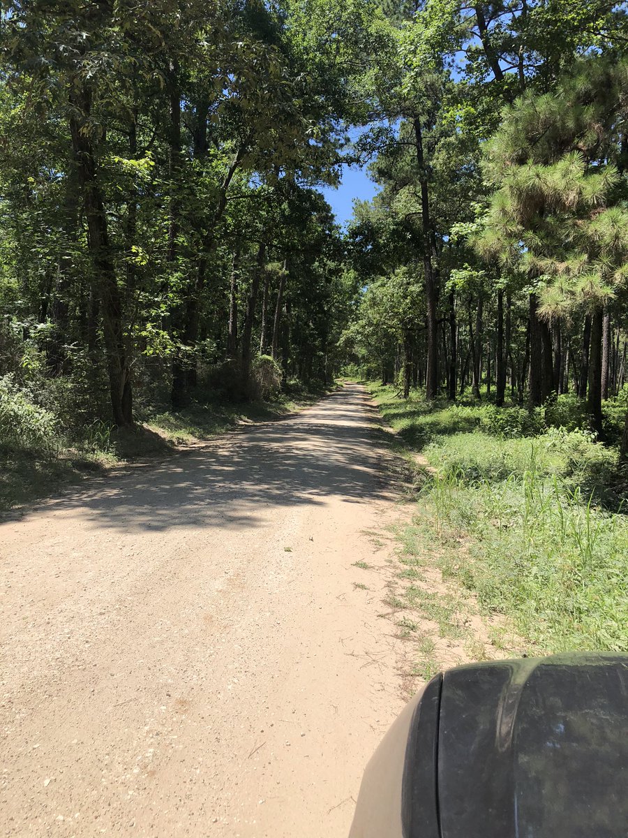 We went on the “Cheeseburger Loop” yesterday! It’s 185 miles, mostly dirt or rocky roads, through the National Forest. It was a great &amp; beautiful adventure. We got to see lots of wildlife including kangaroos! #adventureselfie  #historicmarkerselfie #usesummer #stallionsdeserveit