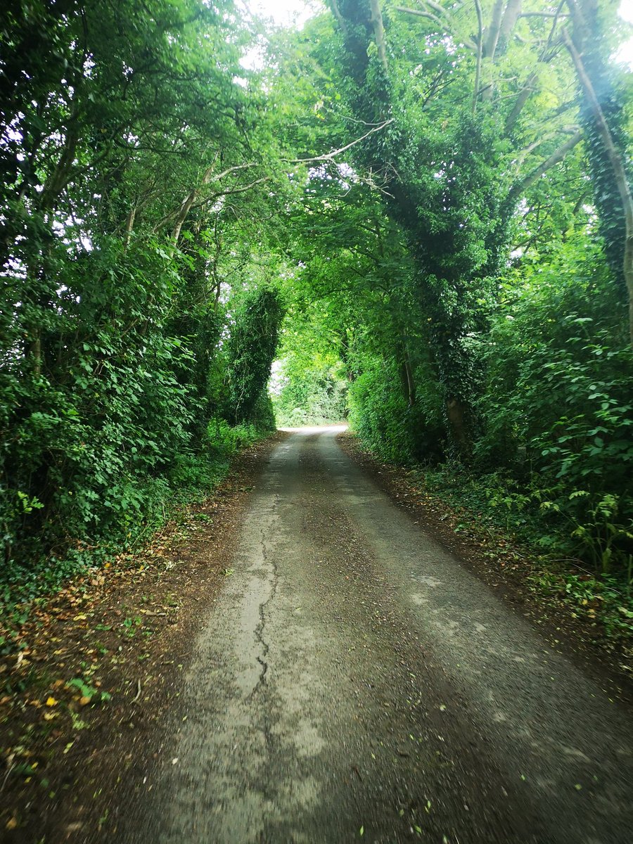 First time out on the bike in 3 months &amp; it felt good, all that lovely weather missed <a href="/BBCDerby/">BBC Derby</a> @TransplantSport <a href="/BhamTxSport/">Birmingham Adults Transplant Sport Team</a> <a href="/BarnBelper/">Belper Bike Barn</a> <a href="/fitafterfiftyus/">Fit After Fifty</a> <a href="/derbyshirelife/">Derbyshire Life</a> #Sheilding #Derbyshire #mywellness