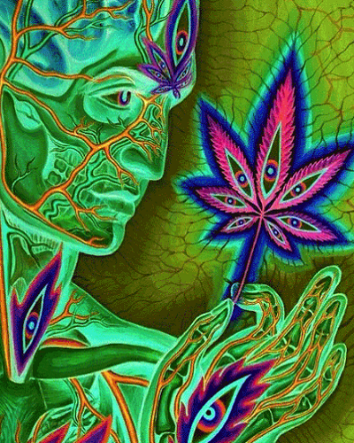 IamMultiversal's tweet photo. ♀≥♂
👁💟#WOMENWARRIORS
#KINGSOFLEONLIVE
https://t.co/LpRjE3eIoG
@IamMultiversal
@sergeivote
@LitaTweets
@cjrmurphy1
@TheElfCall
@AMHotFlash
@aquamwoman
@SuzieBird4
@KChildtess
@whyclimate
@Skewermann
@calimom209
@cindymomo4
@rollbarann
@WomanRises
@elder_jodi
@Mackaveli8 https://t.co/jI4xFGL8Ig