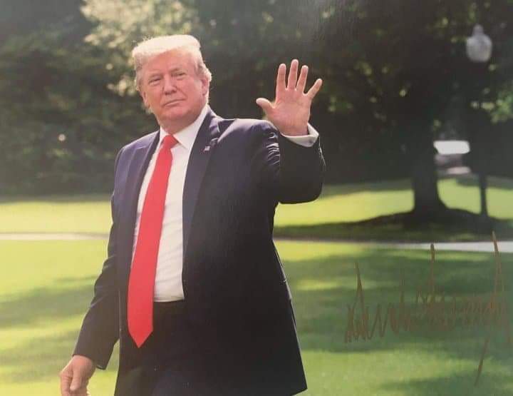 Dr. Donna Webber tweet media