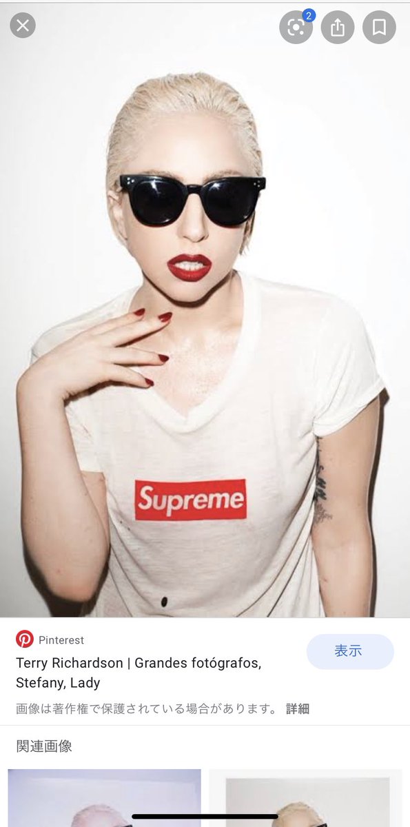 supreme シュプリーム レディーガガ 写真 ポスター テリー