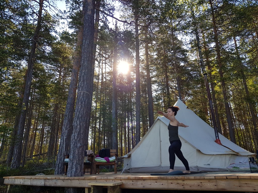 WildSweden tweet media