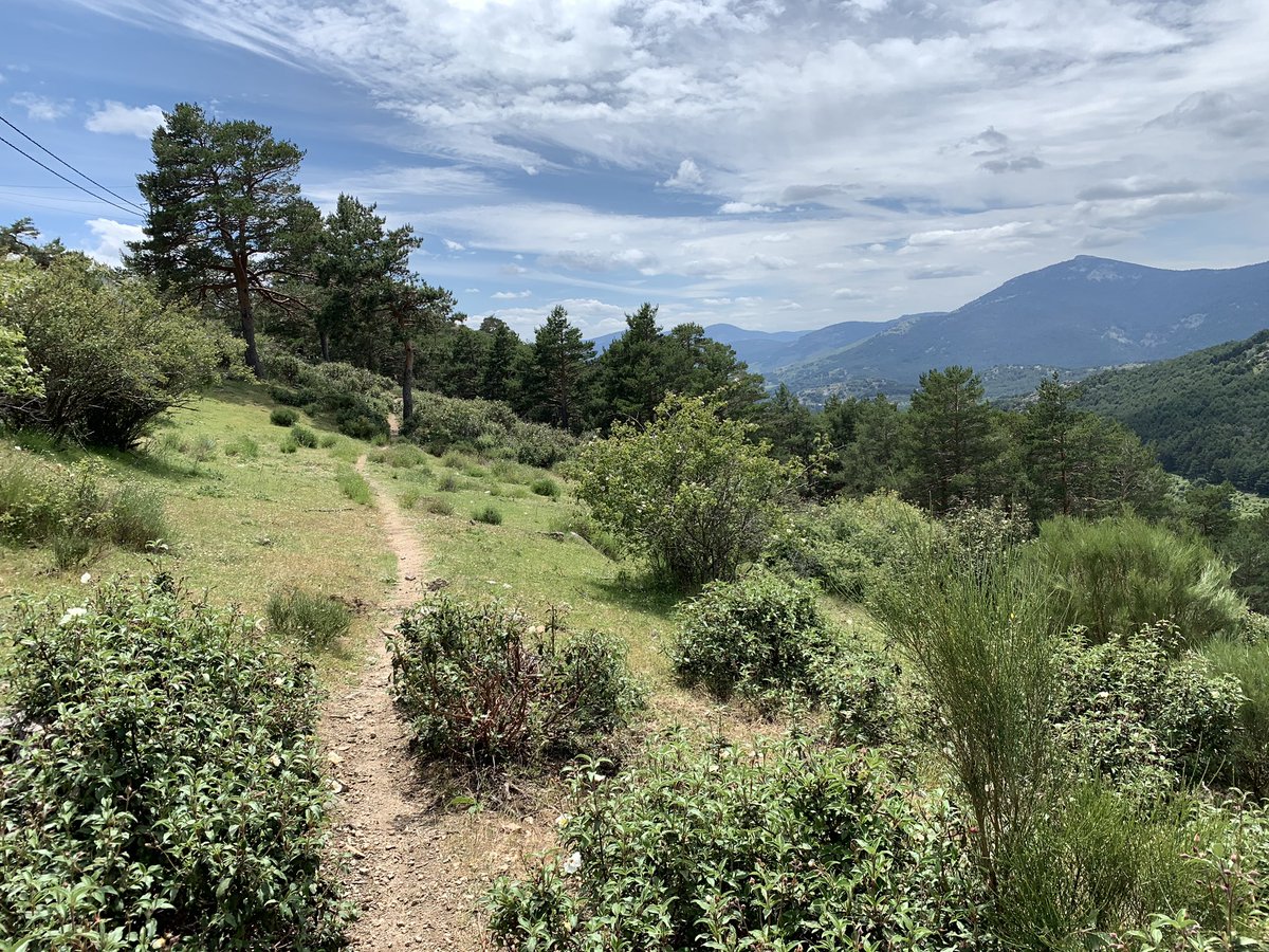 lebanensis's tweet image. Fue un bonito día para la primera cosa seria desde el 8 de Marzo #SierradeGuadarrama #ComunidaddeMadrid #BoladelMundo #AltodeGuarramillas #PuertodeNavacerrada