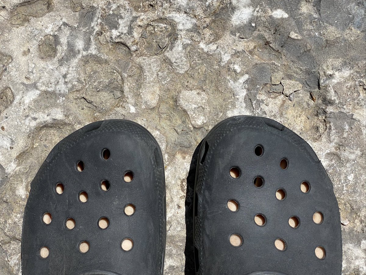 stupid crocs