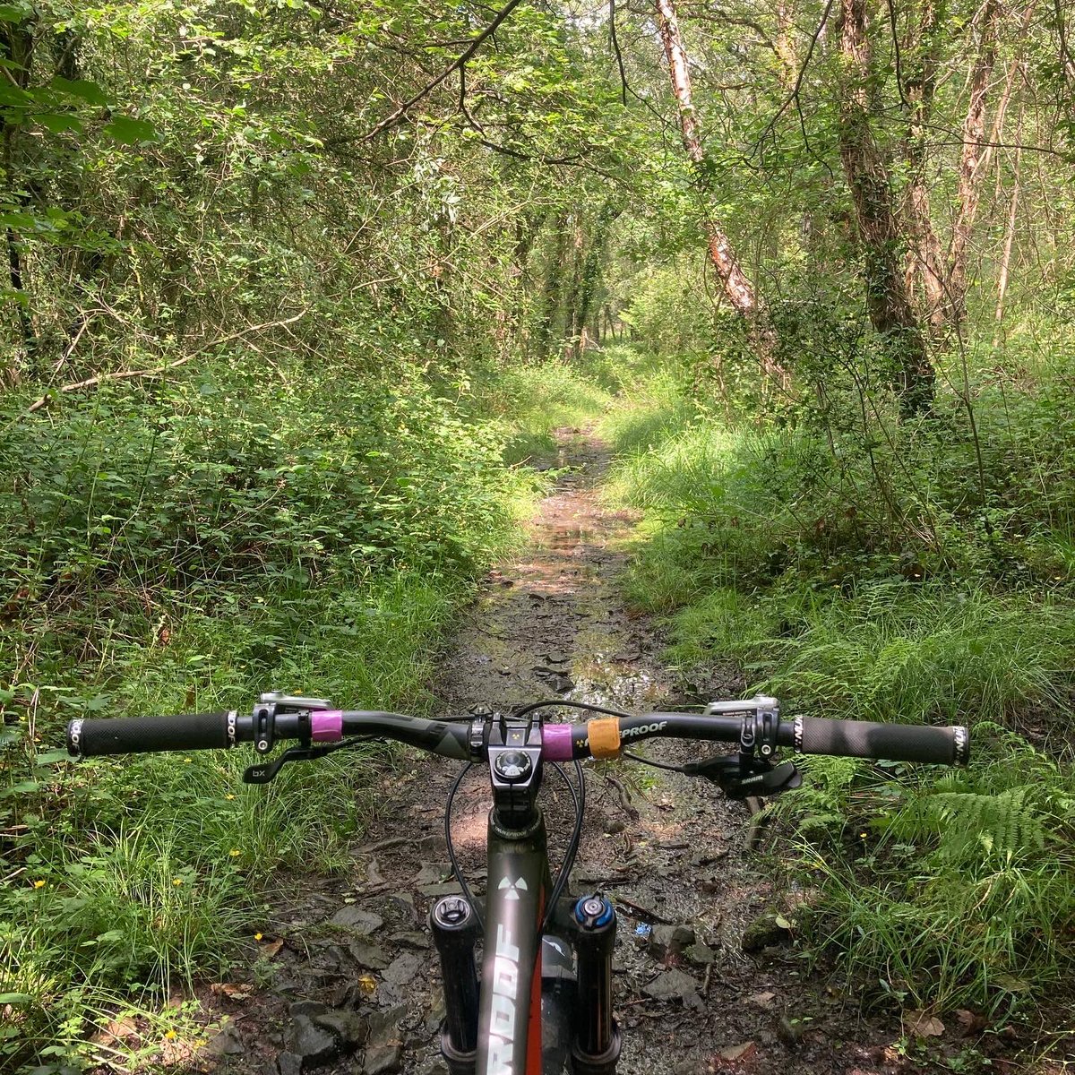 VaughanBudd's tweet photo. @mbukmagazine Been out exploring local on my @Nuke_Proof as I still can’t get to the fun places like Afan, Brechfa and @BikeParkWales 
#mountainbiking #mountainbike #fullsus #singletrack #trails #mtb #mbuk #nukeproof #lovemtb https://t.co/2jwdE4J4Z9