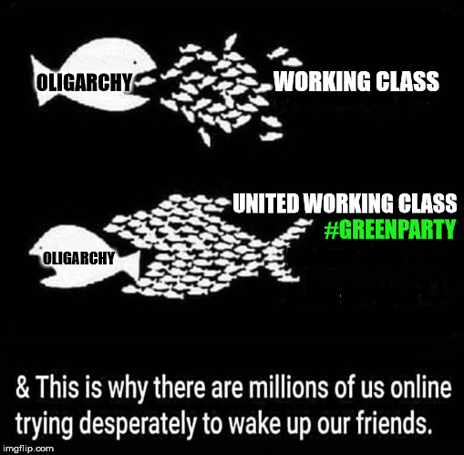 20. Your vote for the Green Party would do several things.It would be a step away from the establishment that oppresses you.It would begin a grassroots movement to build a party that shares your values, and projects corporate donations.