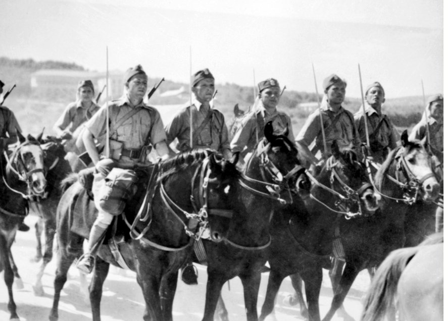 "True to the traditions of the Polish Army, they took special care to get the best horses.The French Army, expecting a Balkan campaign, had plenty of horses and the Poles wanted to bring them as an introductory gift for the British Army."/8