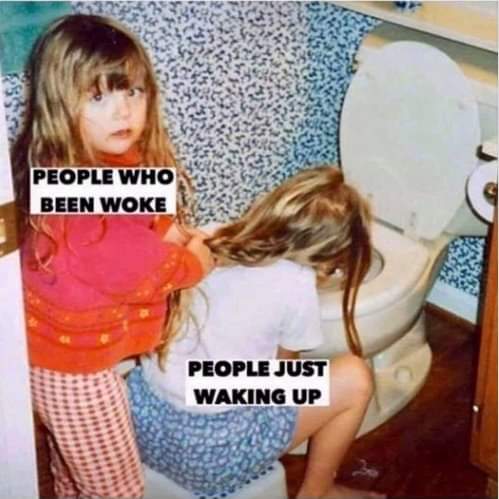 Pictish Queen👑✨️ tweet media