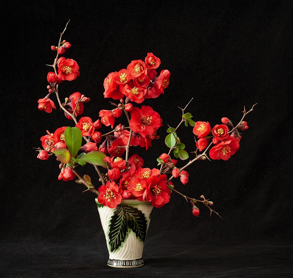 Betho1850's tweet photo. Quince in @luckyrabbit2 pot. #quince #ceramics https://t.co/m62GcTWoM9