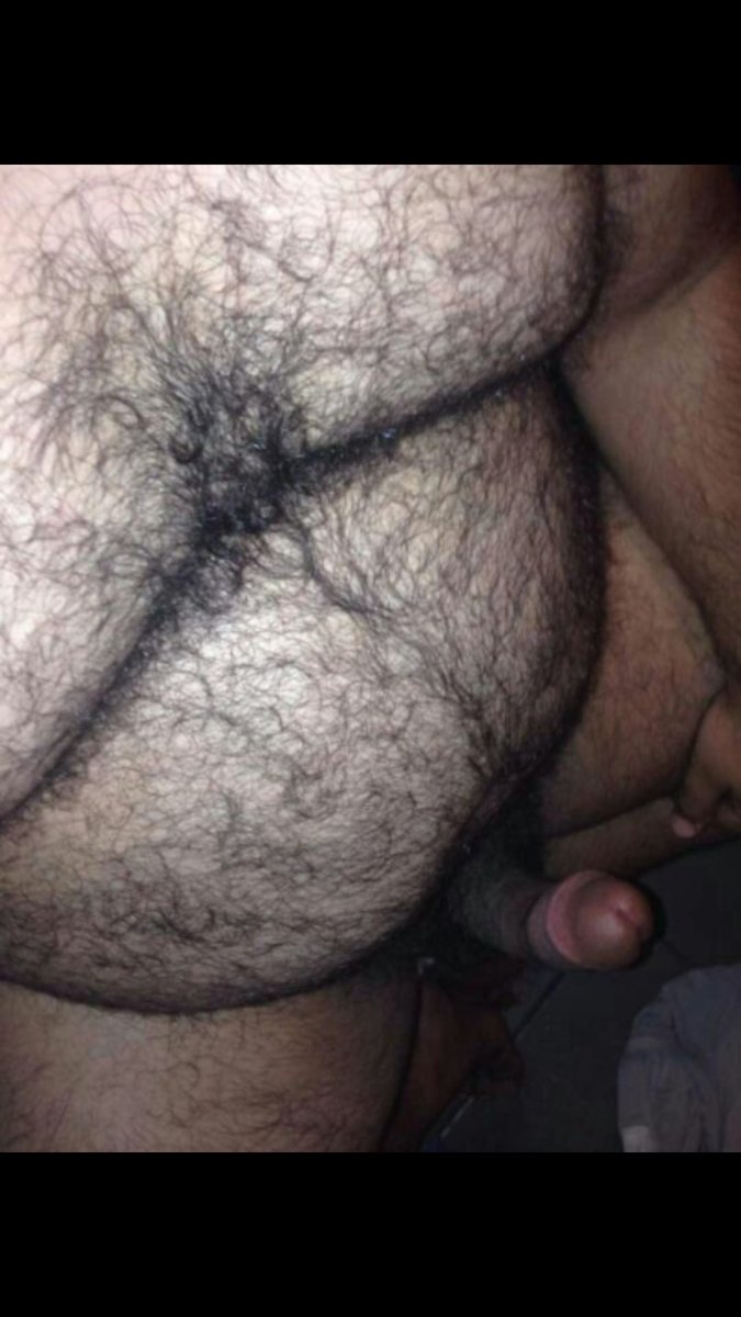 lostbody91's tweet photo. greek_cub_bear https://t.co/0LY0zZQKLy