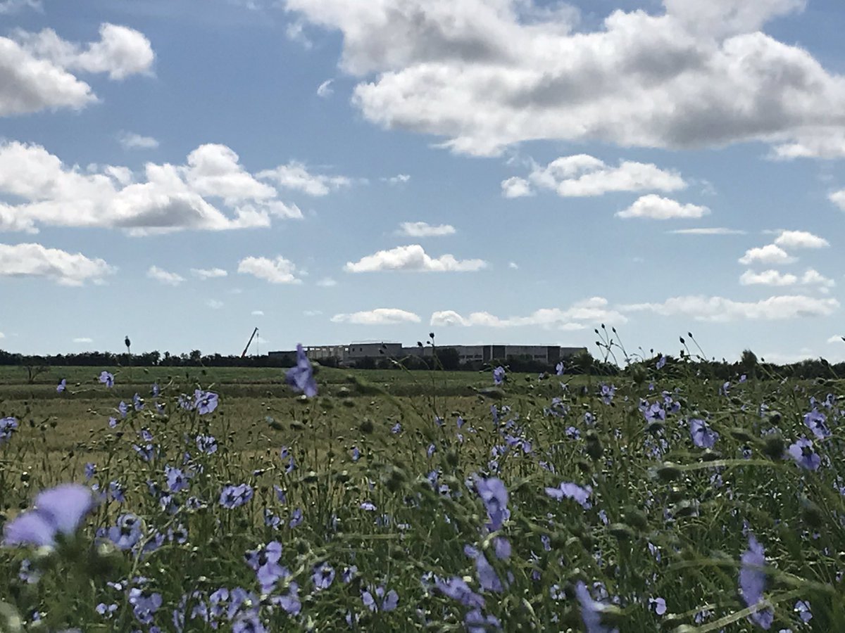 Teilleurs de génération en génération, le #lin nous habille! De Quaëdypre à Laon #lelinfrancais #jeandecock 
#linenpillowchallenge #pillowchallenge #ceuxquifontlelin
#jaimelelin @CELC_FlaxHemp 
J’achète du #lin RDV sur jaimelelin.fr