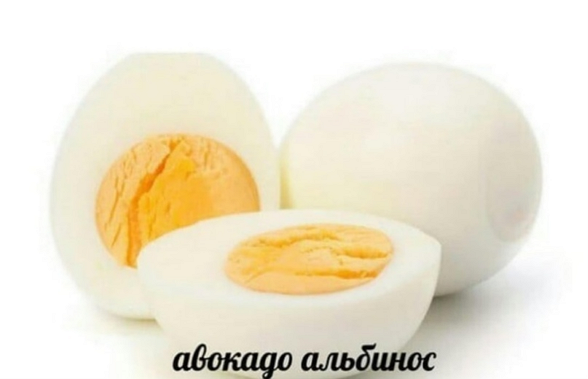 Ужасные мемы (@so_mad_so_funny) on Twitter photo 