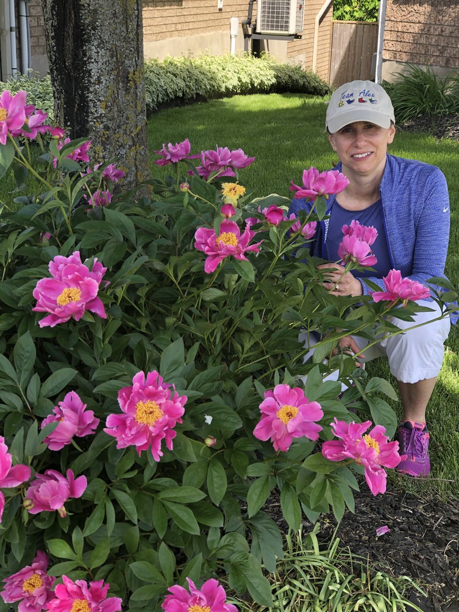 ToutNL's tweet image. ⁦Team Alex has knocked its goal out of the park with $4879 and counting!  This is our 18th year fundraising for the cure.  Thanks to my team for committing to 2 million steps and to our supporters over the years.  #HouseParT1D  #MoreThanT1D #typenone ⁦@JDRF_Canada⁩