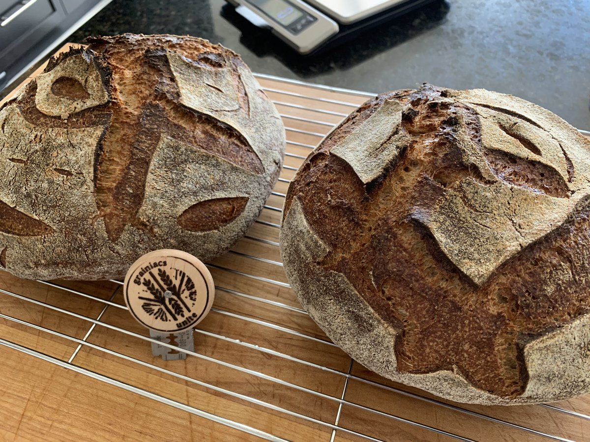 stoakleyaudio's tweet photo. 75% whole wheat sourdough. Kitchen smells amazing 😁
#bread #sourdough #wiremonkey https://t.co/llk7Nro8m8