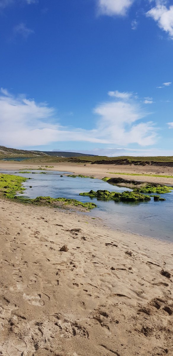 Today's trip was out West 😍

#Barleycove our blue flag beach ❤

Great gang around the place, everyone enjoying themselves! 

#VisitWestCork #purecork #westcork #staylocal #WildAtlanticWay