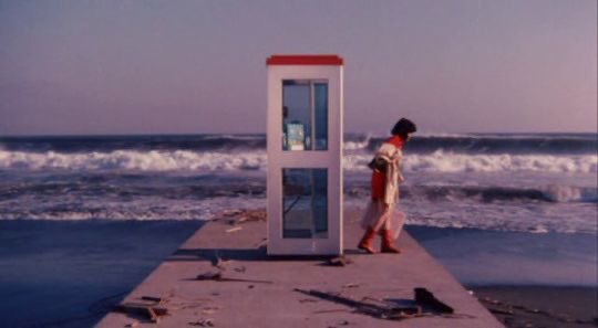 carrot bagel (@a_daisy_home) on Twitter photo 