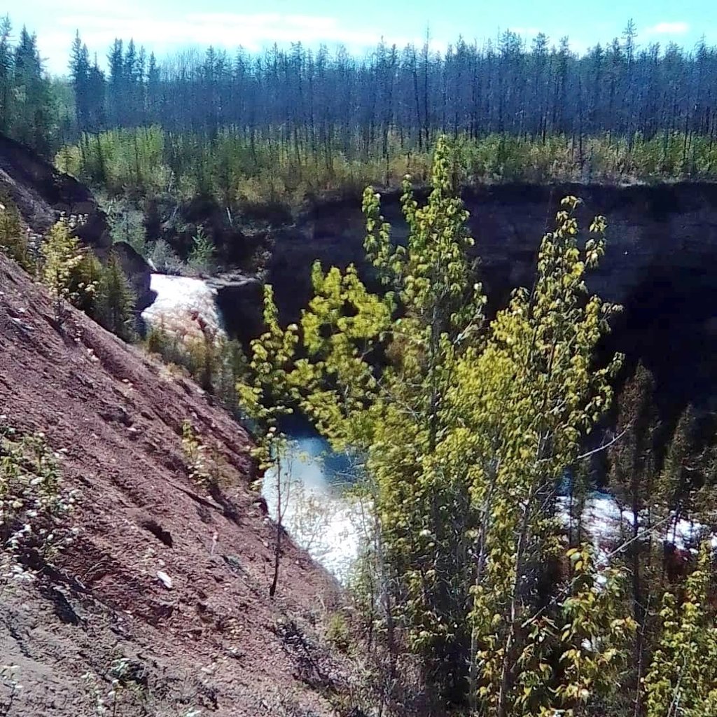 Gkayier's tweet photo. Welcoming gesture by this beautiful Bear, and magnificent view of Buffalo Falls. #Adventurious #NorthernExposure https://t.co/UnPTKrlnVO