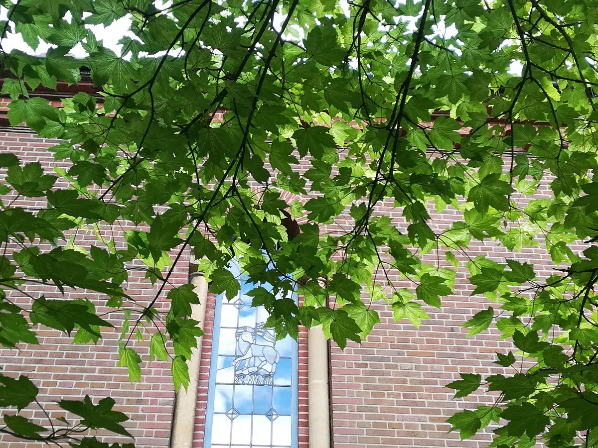 ruth_hw's tweet photo. A satisfying afternoon: pondering the future of the church, and hacking through thick brambles (a metaphor, perhaps?!). Under a tree, outside a closed chapel, was somehow the perfect setting for visionary conversation with @SanjeePerera1. https://t.co/NtFhx5oU69