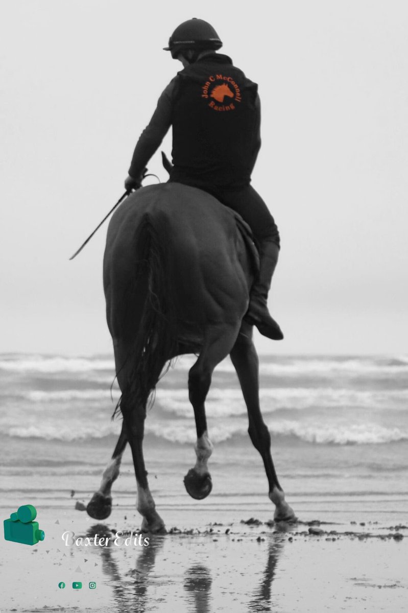 A picture is worth a thousand words. We are delighted to announce we now cater for all your photography needs here at Baxter Edits. Get the complete promotional package in one visit. 

Here are some snaps from the @JohnMcConnellRacing yard yesterday morning!