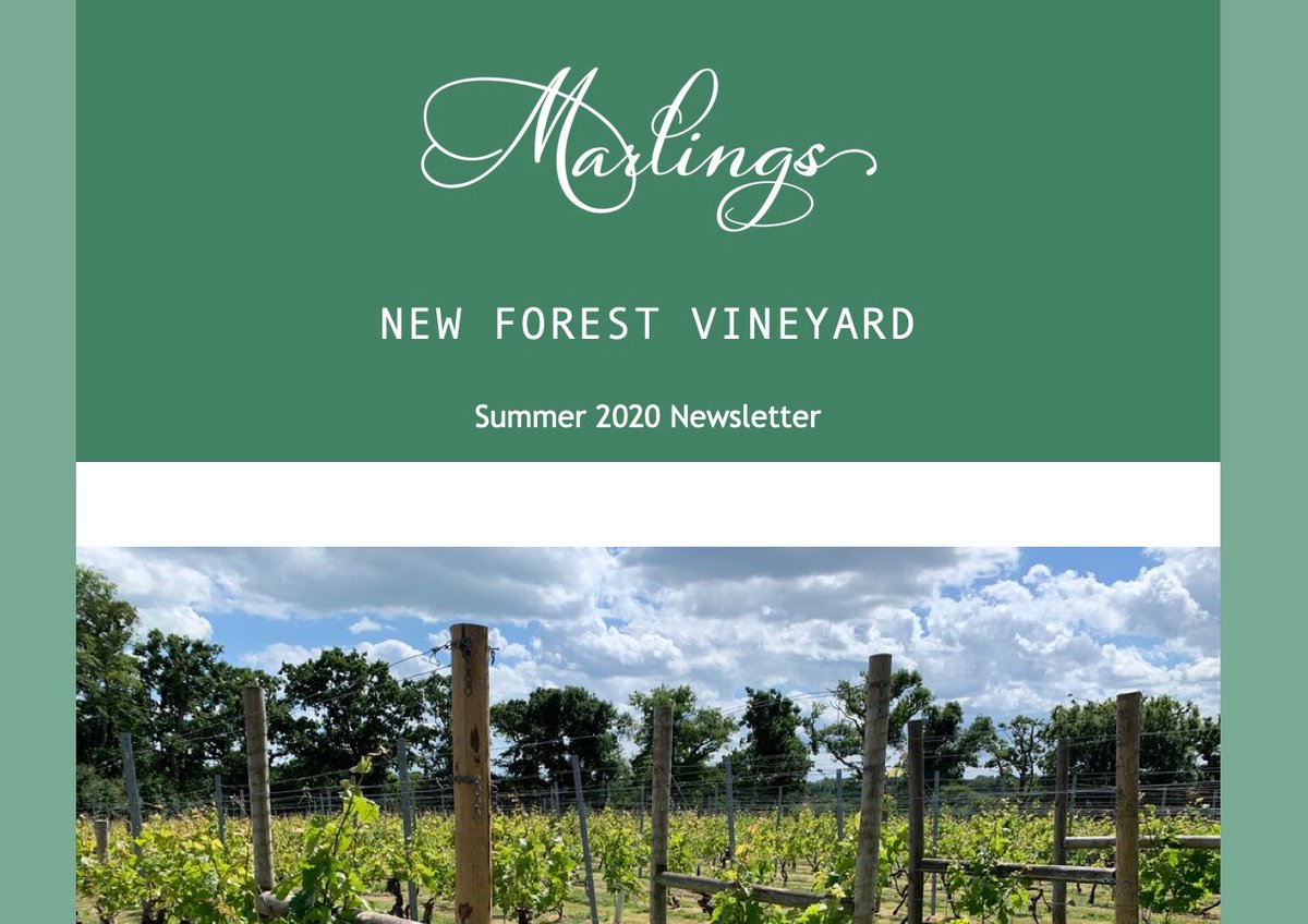 Marlings tweet media