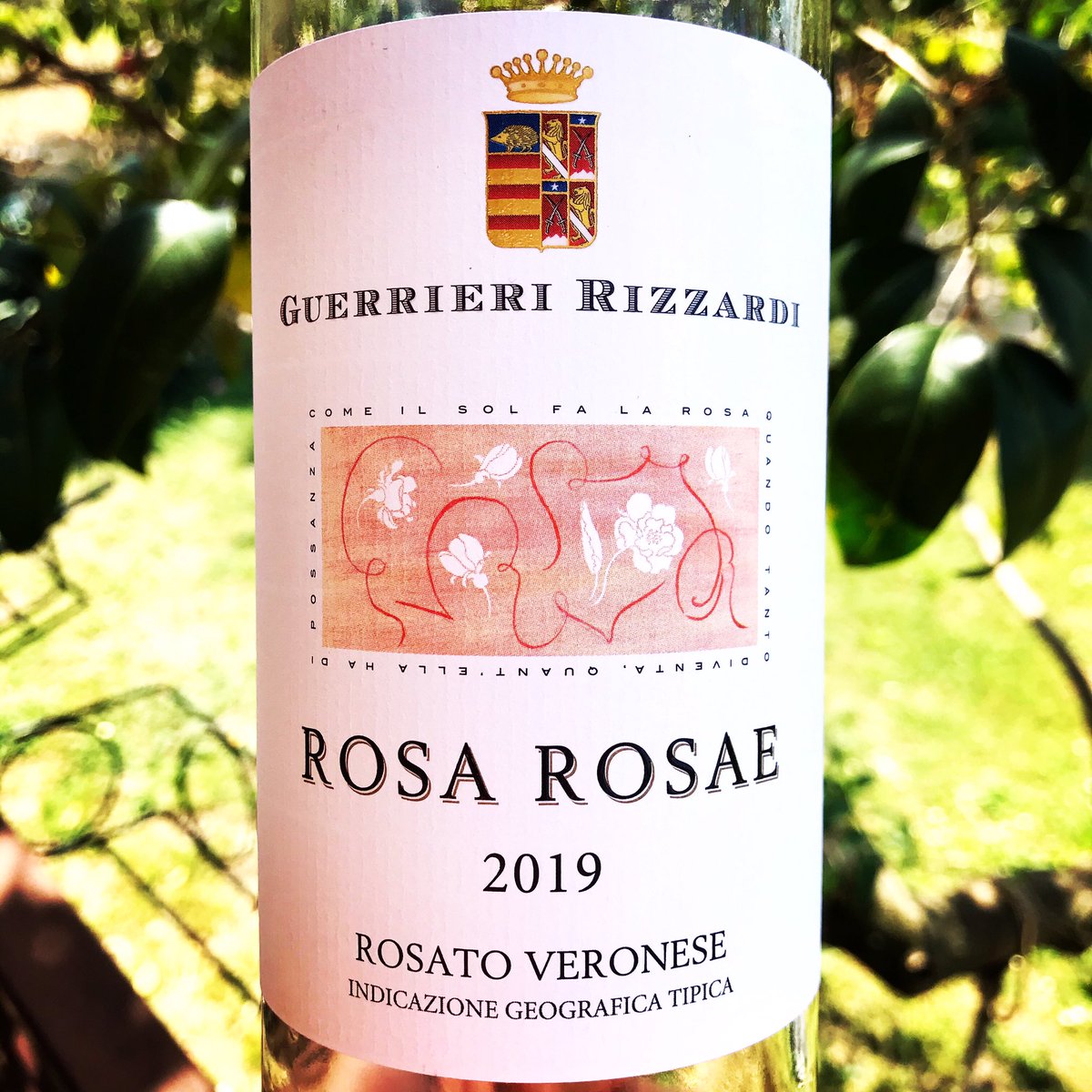 rizzardiwines's tweet photo. #therarest #wine we make is not an #amarone it is #rosarosae #only 2,600 to 4,000 #bottles #peryear #corvina #based #dry #intense #rosato #bardolino #vineyards #vino  #guerrieririzzardi #family #winemakers #italia #italy #vino #instawine #winelover #madeinitaly #lakegarda https://t.co/IXjbPzNi4g