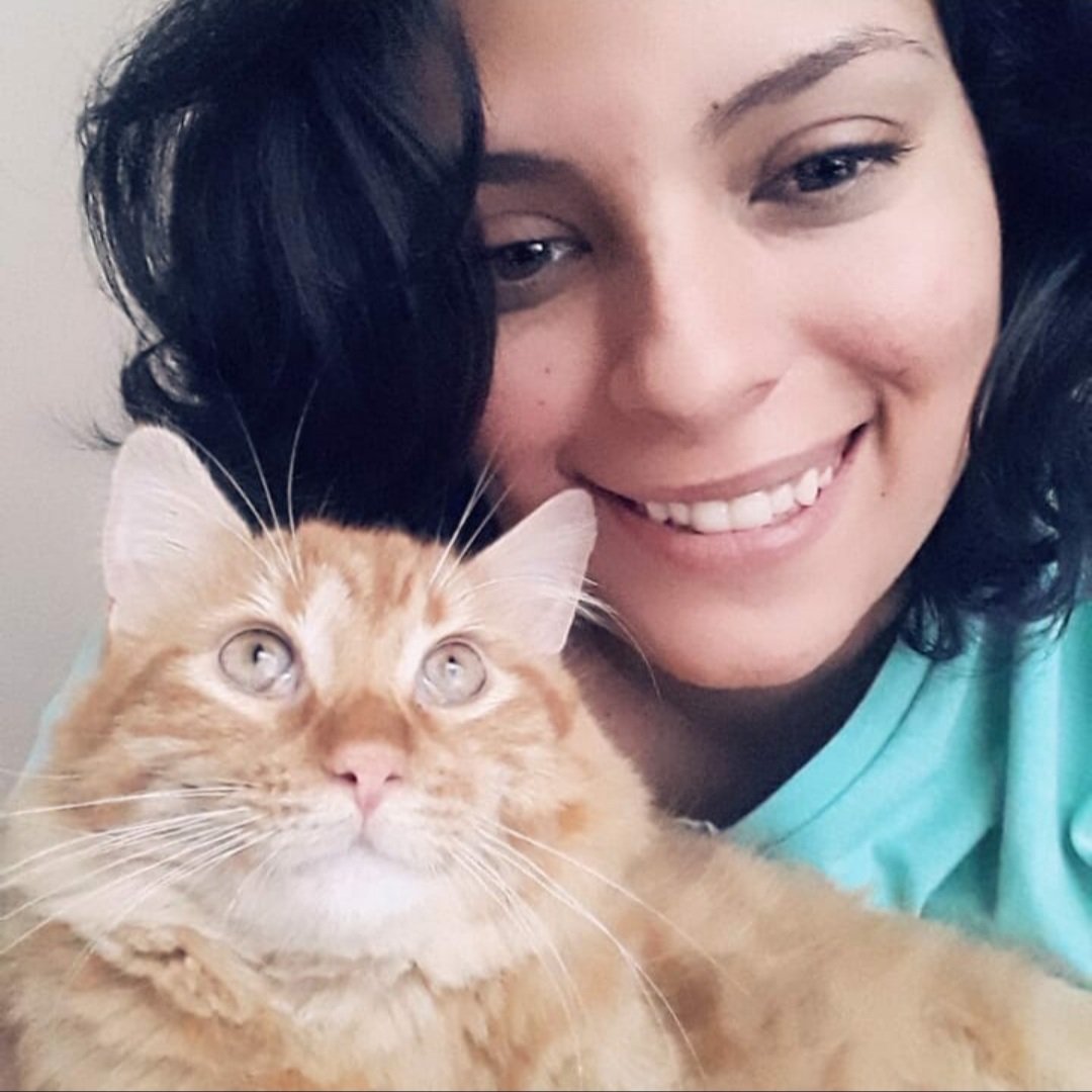KryPlaza's tweet photo. Mis amados gatitos rubicundo y rubinegro #catlover https://t.co/d9ESMLO1h9