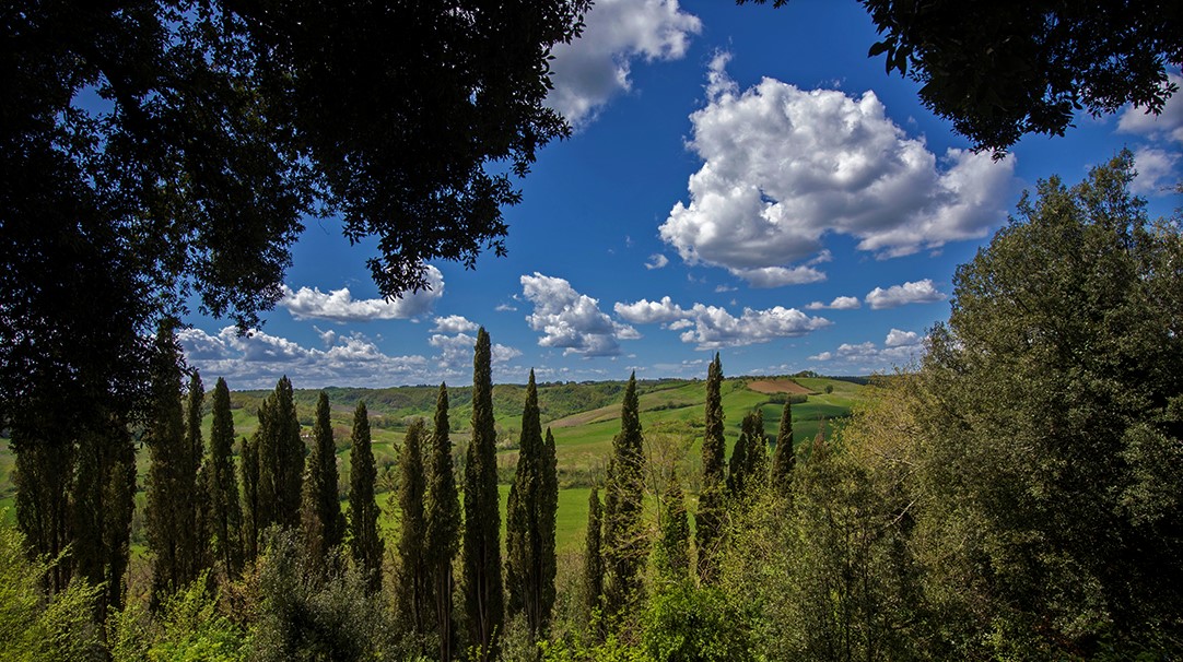 laticastelli's tweet photo. Tuscany is ready for welcoming tourists with new offers connected to a large territory rich of amazing nature, thermal baths, good food and amazing wine

#tuscany #tourism #travel #hotels #holidays #vacation #travelagency #travelinspirations #enoturismo #thermaltravel #winelover https://t.co/37QF5JyxxC